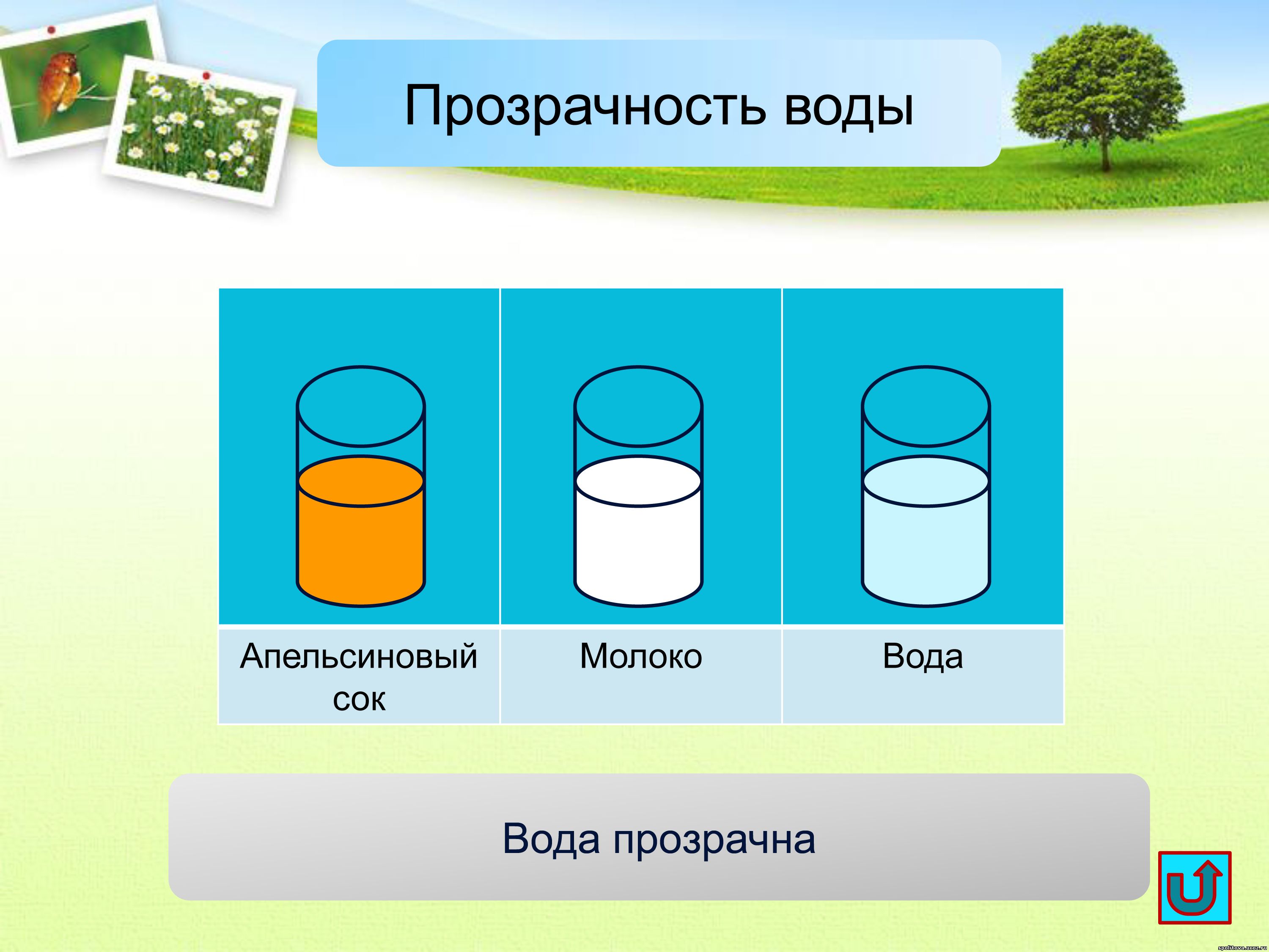 Прозрачность в проекте это